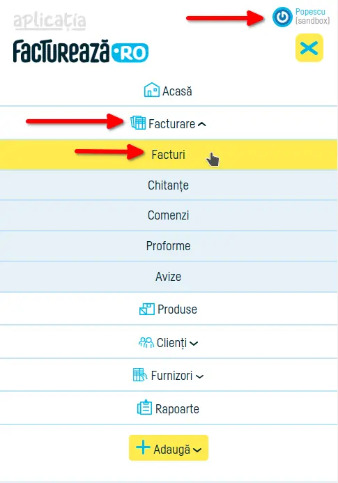 Cum verifici transmiterea la eFactura - pasul 1